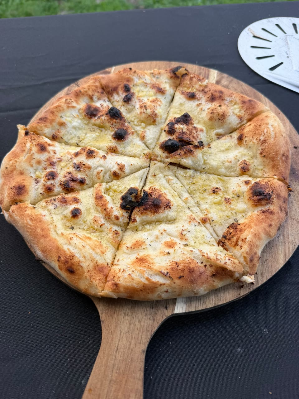 The Mushroom